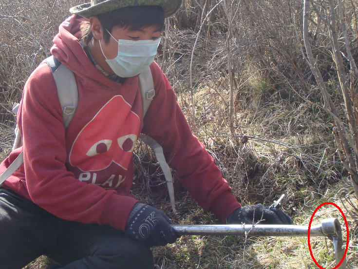 �������ڲ������r�x(ch��ng)��,���r���x(ch��ng)�ĲݵĈDƬ,���r���x(ch��ng)�ĲݵĘ���