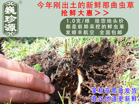 ���r���x�Ĳݣ��^�����r�x����Ρ��Դ1��/�����r�������x�Ĳ��^���������ڳ����������^�����r�x��