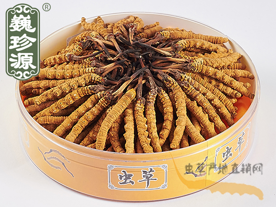 ���x�Ĳ��^�ڲ�,�x���^�������x�Ĳ��^���������x���^�ڲ���Ρ��Դ�����x���^��3�l/��