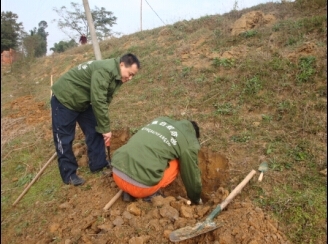 水库类白蚁防治操作