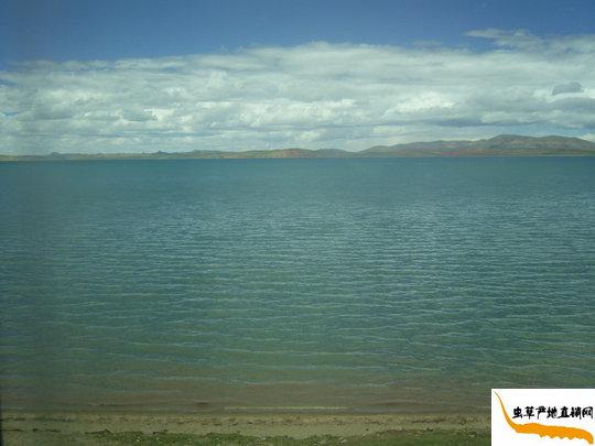 �e�Ǻ�,��܇���Ĕz�e�Ǻ��DƬ