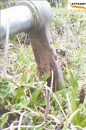 ���x�Ĳ������Ӳ��ڳ���(l��i)��?����l(f��)�F(xi��n)һ�����x�Ĳ�,��(zh��n)��Ѷ��x�Ĳݲ��ڳ���(l��i)