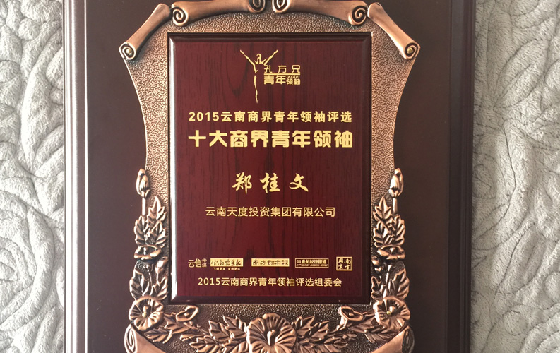在“互聯(lián)網(wǎng)大時(shí)代”的背景下，天度作為本土很大和很有名的互聯(lián)網(wǎng)服務(wù)企業(yè)，為近萬(wàn)家傳統(tǒng)企業(yè)轉(zhuǎn)型互聯(lián)網(wǎng)+提供了服務(wù)和幫助，獲此獎(jiǎng)項(xiàng)后，我們將再接再厲，創(chuàng)造更高的社會(huì)價(jià)值